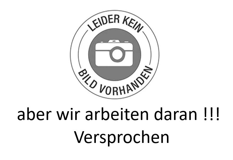 Bolten Ur-Alt - 20x0,33 Liter